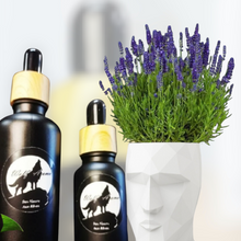 Lade das Bild in den Galerie-Viewer, Huiles essentielles bio alimentaires 15 ml