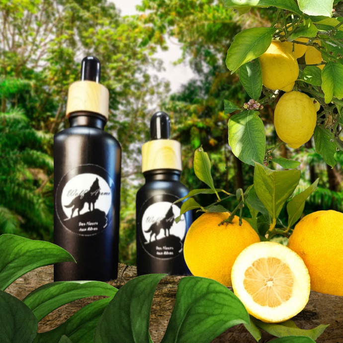 Huiles Essentielles de Citron